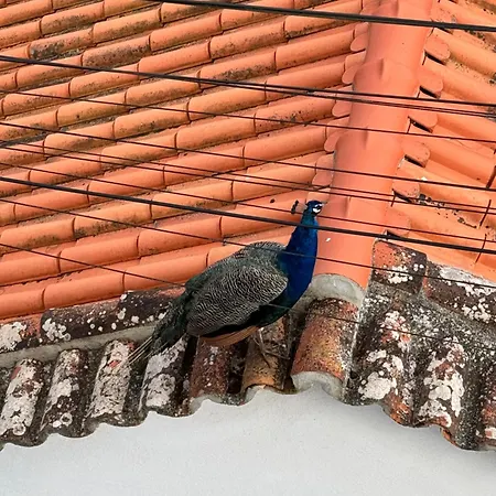 Apartamento Foz Lagoon