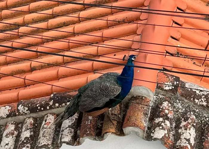 Appartamento Foz Lagoon